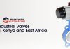 Industrial Valves in Nairobi, Kenya and East Africa